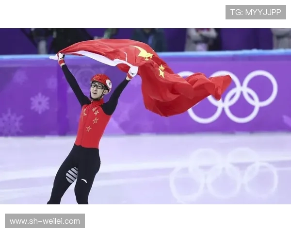 上海排球队的拼搏之路洲际杯特别报道展现奋斗精神与团队力量